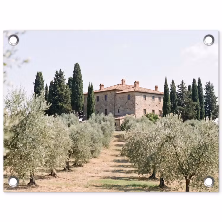 Gartenposter - Landhaus – Olivenbaum – Obstgarten - Landhuis - olijfboom - gaard tuinposter los doek klein