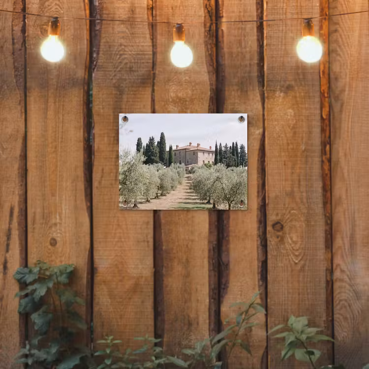 Gartenposter - Landhaus – Olivenbaum – Obstgarten - Landhuis - olijfboom - gaard tuinposter los doek klein