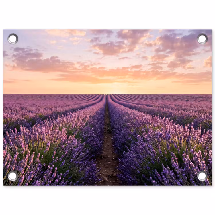 Landschap - Lavendelveld - Paars tuinposter los doek klein -3d