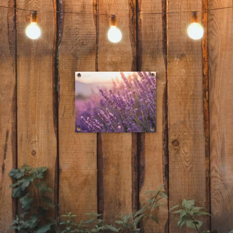 Lavendel - Paars - Zonlicht tuinposter los doek klein -sfeer1