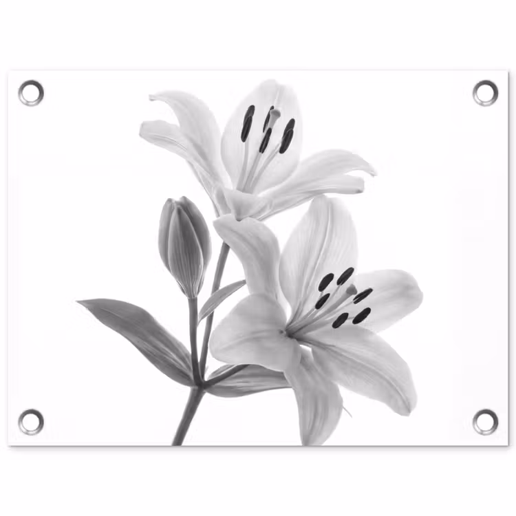 Lelies - Elegant - Zwart - Wit tuinposter los doek klein -3d