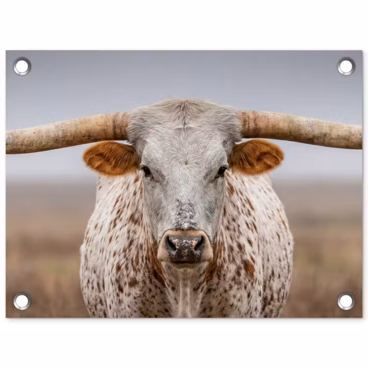 Longhorn - Grasveld - Dier tuinposter los doek klein -3d