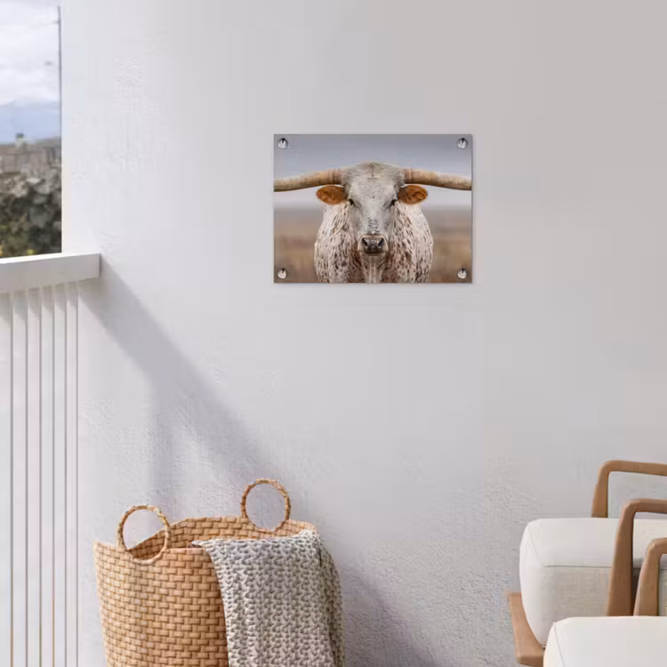 Longhorn - Grasveld - Dier tuinposter los doek klein -sfeer8