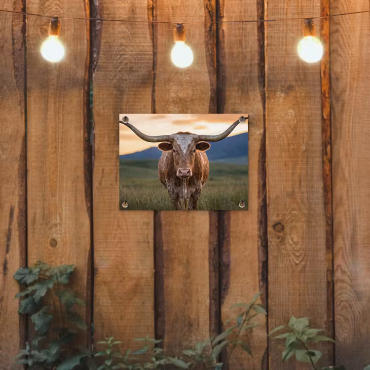 Longhorn - Landschap - Zonsondergang tuinposter los doek klein -sfeer1