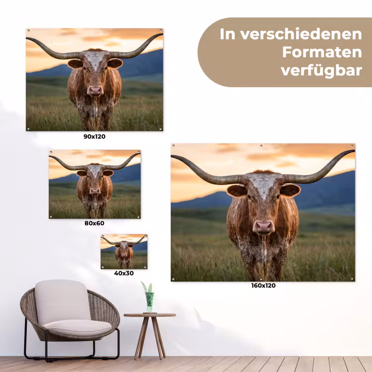 Longhorn - Landschap - Zonsondergang tuinposter los doek klein -Xsfeer9_DE