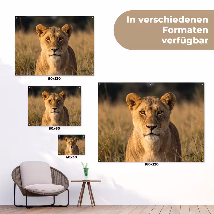 Leeuwin - Gras - Geel tuinposter los doek klein -Xsfeer9_DE