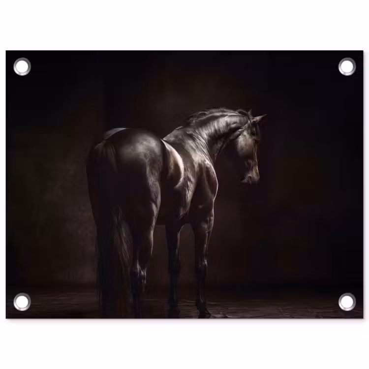 Krachtig - Paard - Donker tuinposter los doek klein -3d