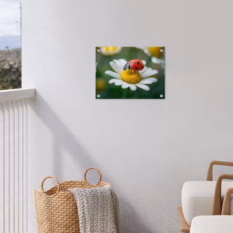 Lieveheersbeestje - Rood - Margriet tuinposter los doek klein -sfeer8