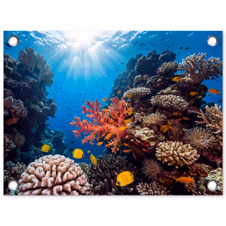 Zee - Koraalrif - Natuur - Levendig - Blauw tuinposter los doek klein -3d