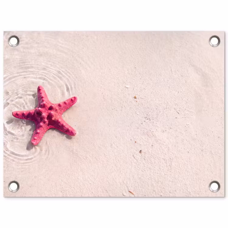 Zeeleven - Zeester - Strand - Roze - Water tuinposter los doek klein -3d