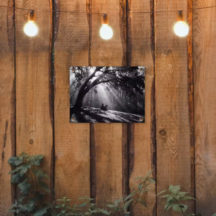 Mens - Hond - Natuur - Zwart-wit - Silhouet tuinposter los doek klein -sfeer1