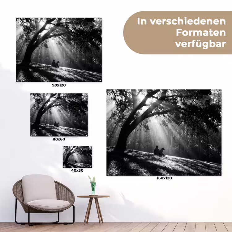 Mens - Hond - Natuur - Zwart-wit - Silhouet tuinposter los doek klein -Xsfeer9_DE