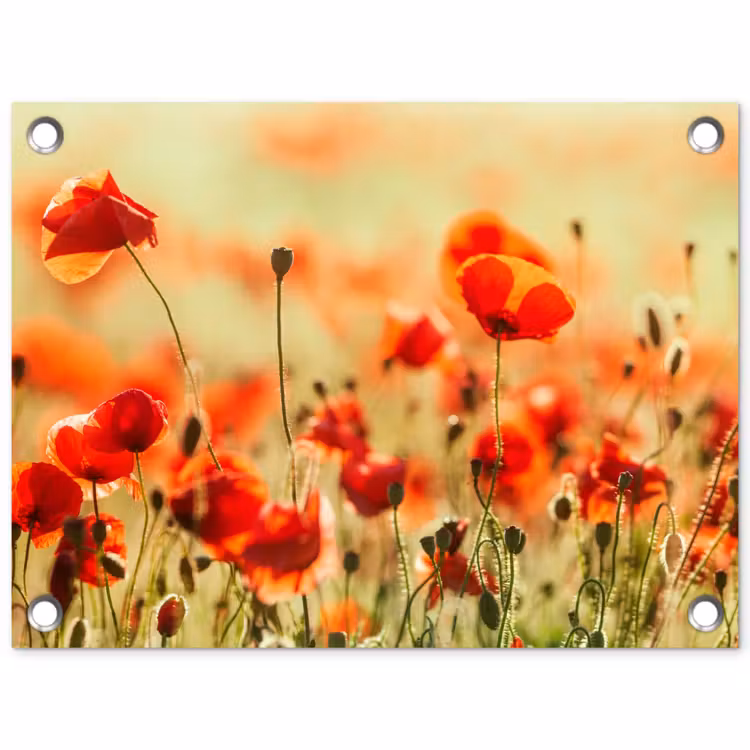 Klaprozen - Bloemen - Rood - Bloemenveld tuinposter los doek klein -3d