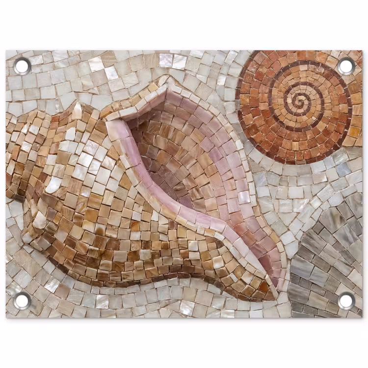 Schelp - Mozaïek - Zee - Beige - Modern tuinposter los doek klein -3d