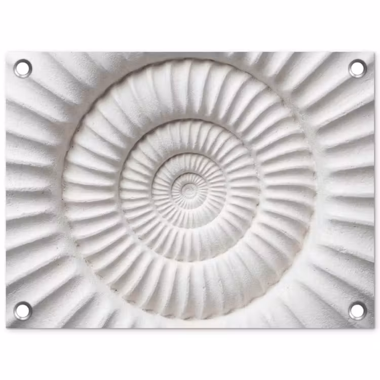 Schelp - Spiraal - Wit tuinposter los doek klein -3d