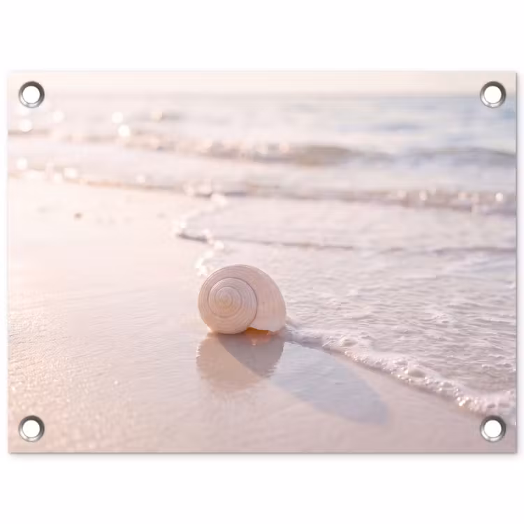 Zeeschelp - Strand - Zee - Natuur - Beige tuinposter los doek klein -3d