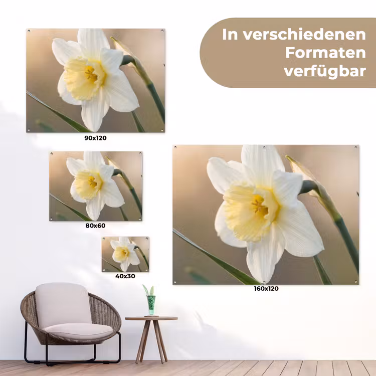 Narcis - Bloem - Minimalistisch tuinposter los doek klein -Xsfeer9_DE