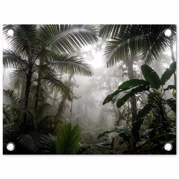 Natuur - Jungle - Mist - Groen - Bladeren tuinposter los doek klein -3d