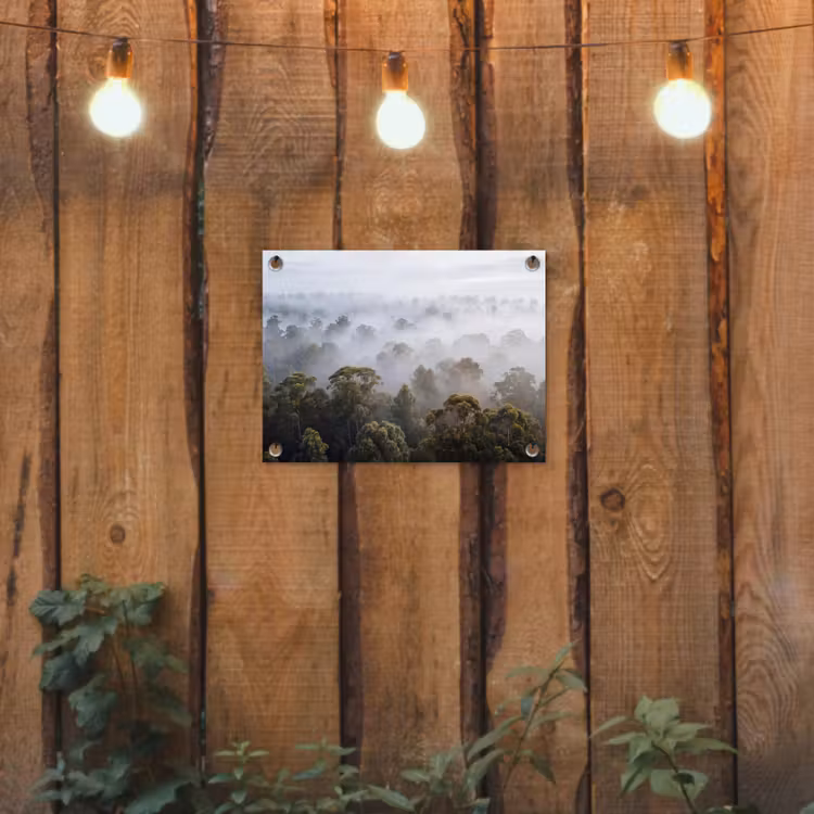Natuur - Mist - Bos - Ochtend - Goud tuinposter los doek klein -sfeer1