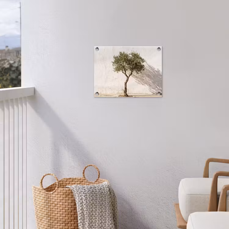 Gartenposter - Olivenbaum – Wand – weiß - Olijfboom - muur - wit tuinposter los doek klein