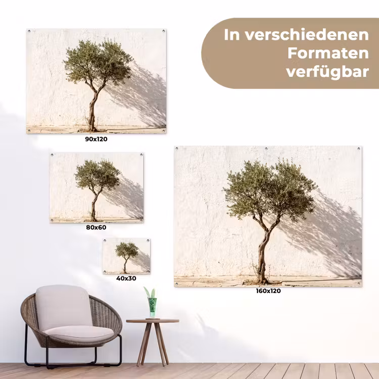 Gartenposter - Olivenbaum – Wand – weiß - Olijfboom - muur - wit tuinposter los doek klein