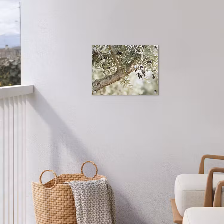 Gartenposter - Olivenbaum – Zweig – grün - Olijfboom - tak - groen tuinposter los doek klein