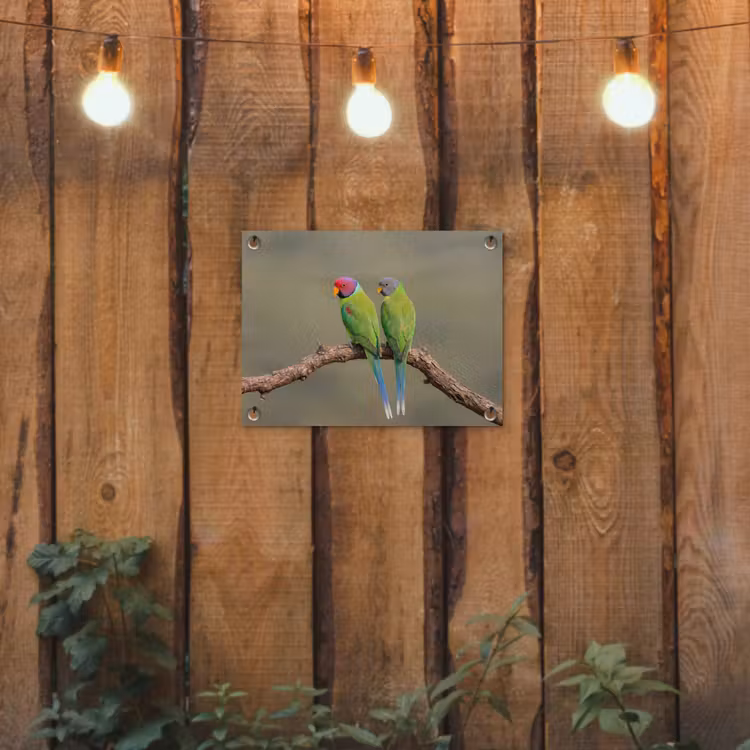 Papagaai - Tak - Natuur - Kleurrijk tuinposter los doek klein -sfeer1