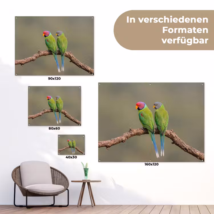 Papagaai - Tak - Natuur - Kleurrijk tuinposter los doek klein -Xsfeer9_DE