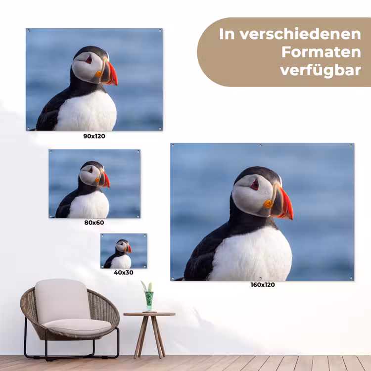 Papegaaiduiker - Portret - Natuur tuinposter los doek klein -Xsfeer9_DE