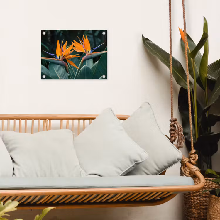 Paradijsvogel - Bloem - Exotisch tuinposter los doek klein -sfeer7