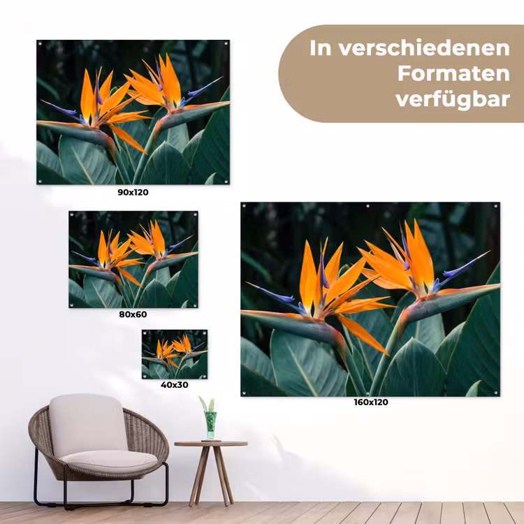 Paradijsvogel - Bloem - Exotisch tuinposter los doek klein -Xsfeer9_DE