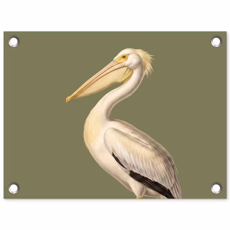 Pelikaan - Wit - Vogel - Klassiek - Natuur tuinposter los doek klein -3d