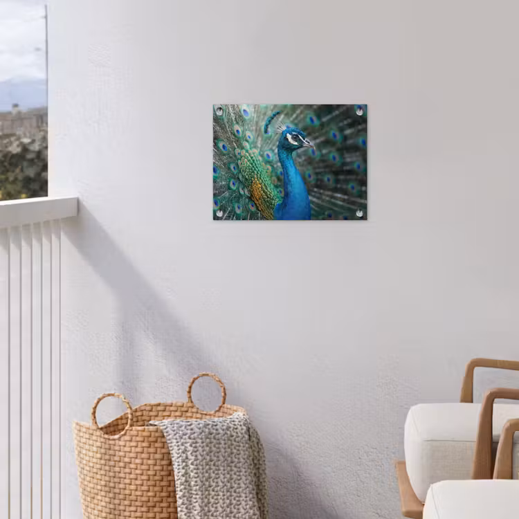Pauw - Veren - Blauw tuinposter los doek klein -sfeer8