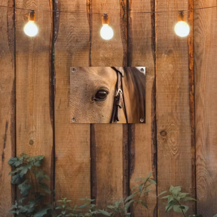 Paard - Oog - Bruin tuinposter los doek klein -sfeer1