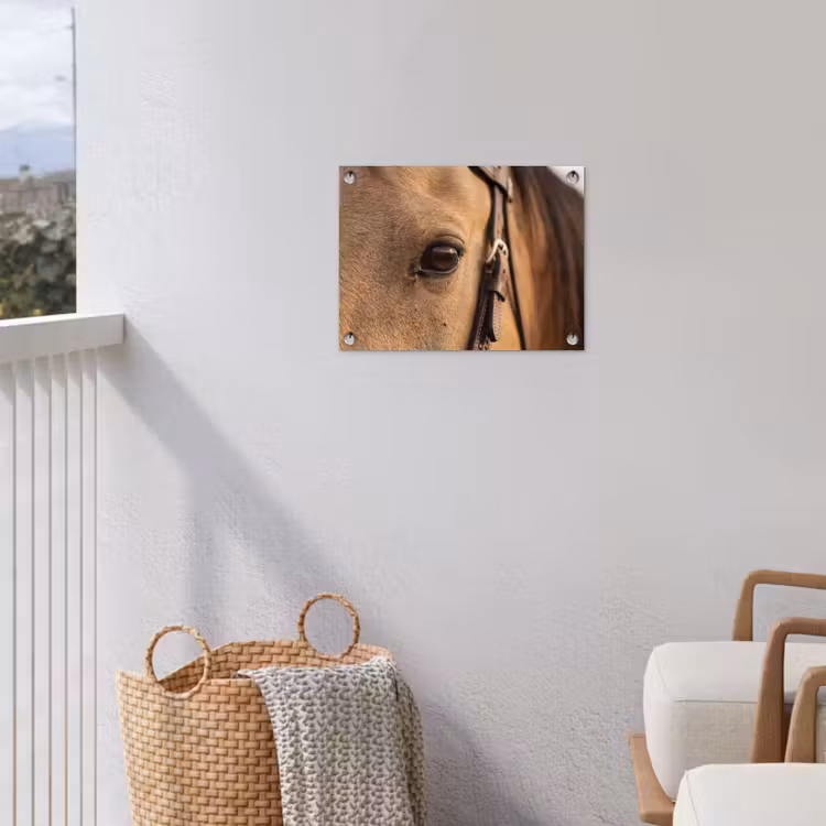 Paard - Oog - Bruin tuinposter los doek klein -sfeer8