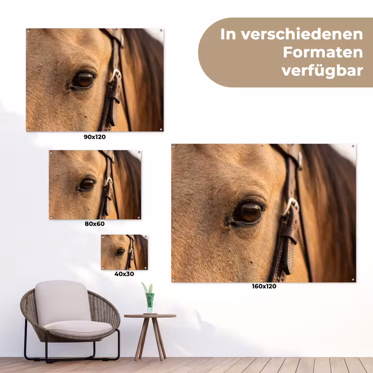 Paard - Oog - Bruin tuinposter los doek klein -Xsfeer9_DE