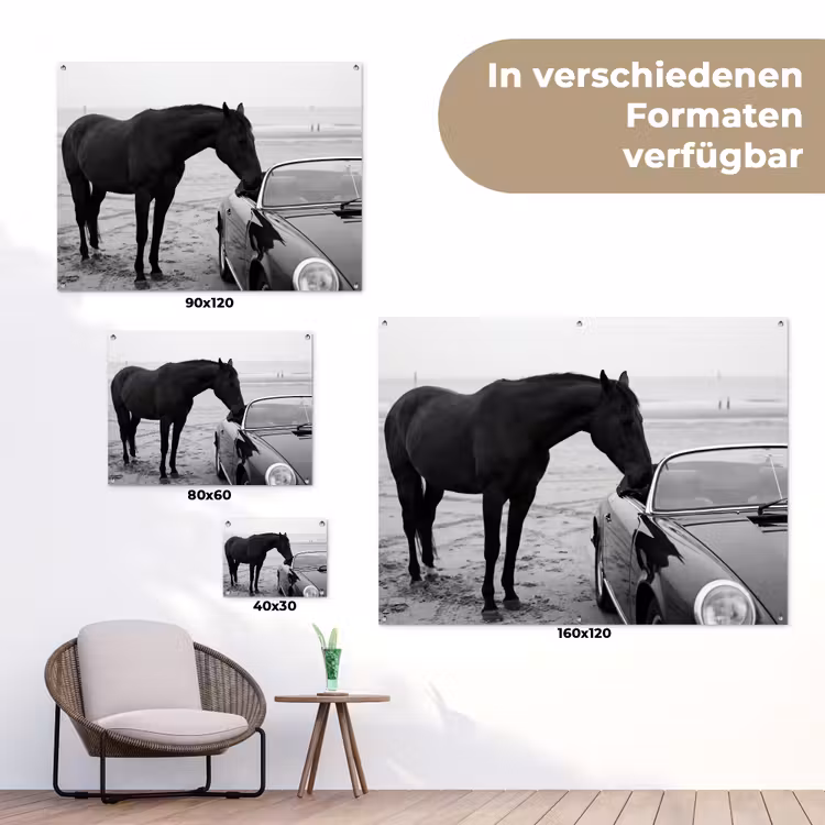Paard - Auto - Zwart - Wit tuinposter los doek klein -Xsfeer9_DE