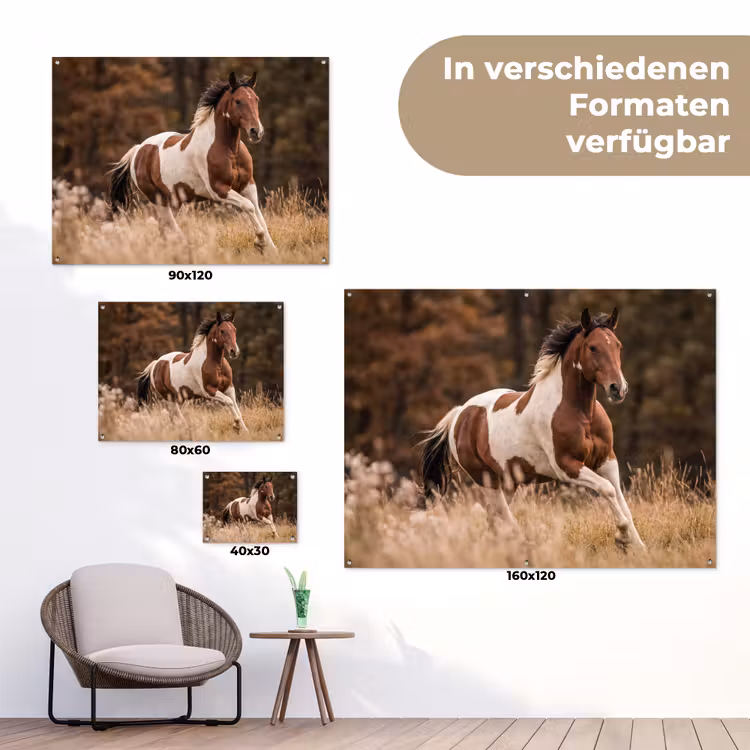 Paard - Bruin - Gras tuinposter los doek klein -Xsfeer9_DE