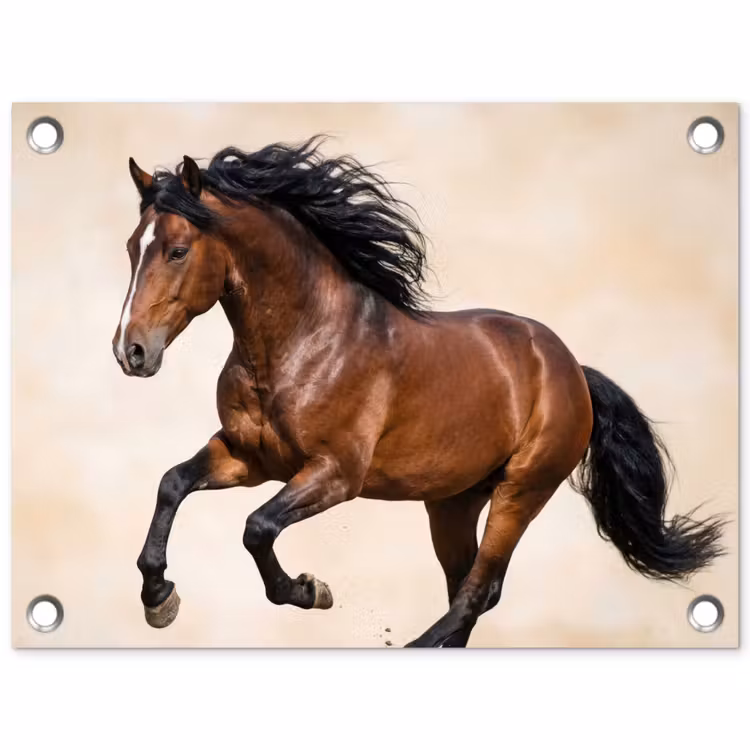 Paard - Galop - Energie tuinposter los doek klein -3d