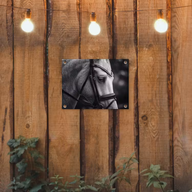 Paard - Schimmel - Portret tuinposter los doek klein -sfeer1