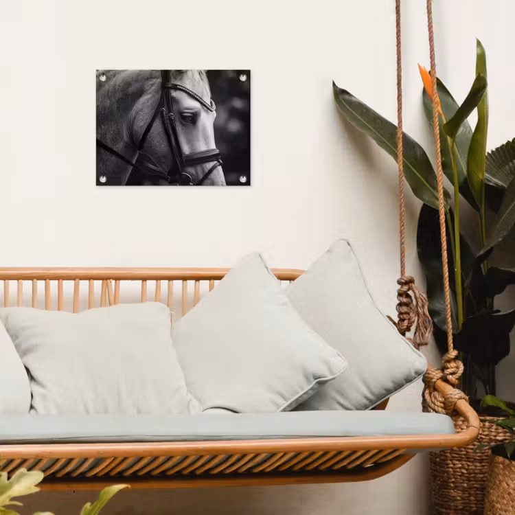 Paard - Schimmel - Portret tuinposter los doek klein -sfeer7