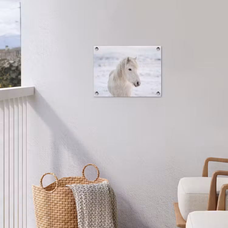 Paard - Kop - Winter - Dieren - Wit tuinposter los doek klein -sfeer8