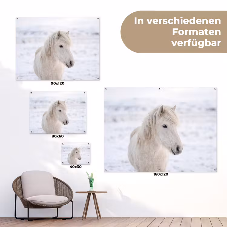 Paard - Kop - Winter - Dieren - Wit tuinposter los doek klein -Xsfeer9_DE