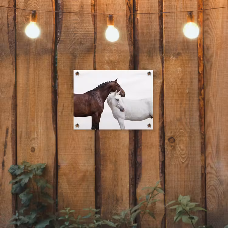 Paard - Modern - Balans tuinposter los doek klein -sfeer1