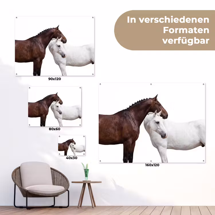 Paard - Modern - Balans tuinposter los doek klein -Xsfeer9_DE