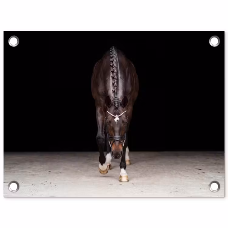 Paard - Modern - Portret tuinposter los doek klein -3d