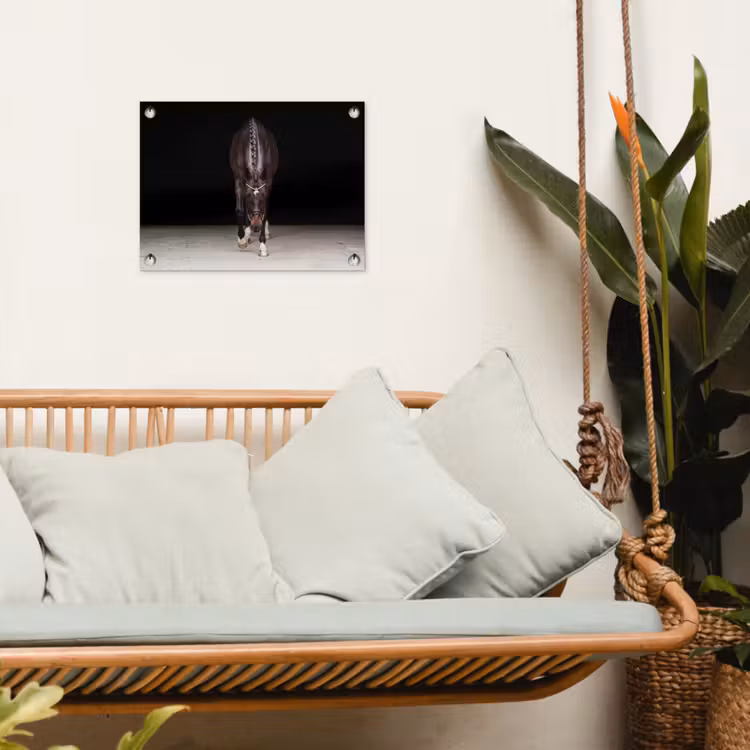 Paard - Modern - Portret tuinposter los doek klein -sfeer7