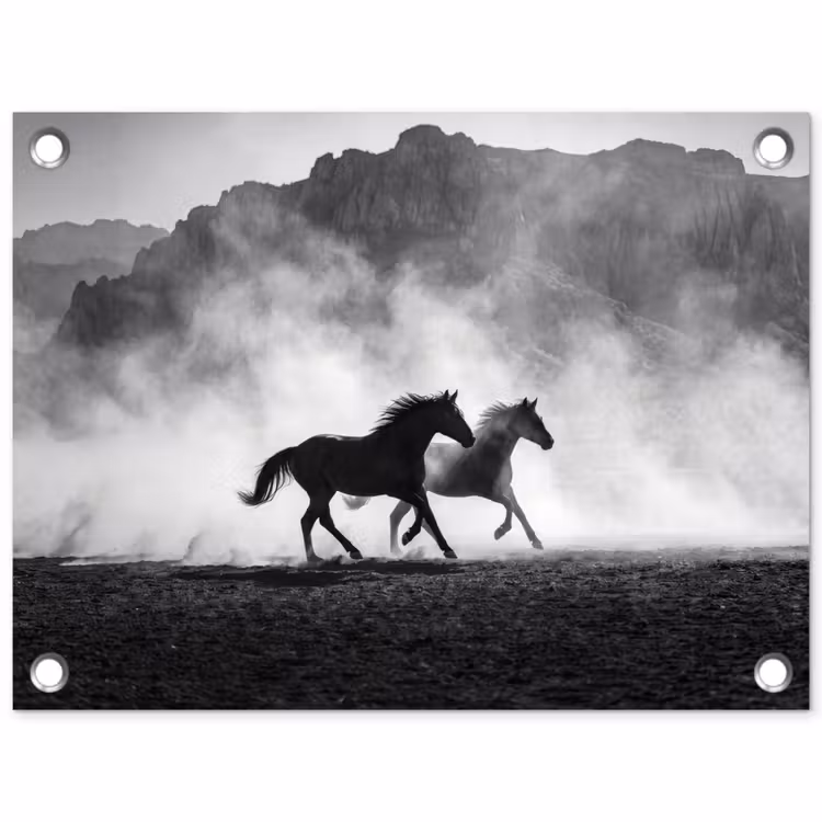 Paard - Ren - Stof - Zwart-wit - Dieren tuinposter los doek klein -3d
