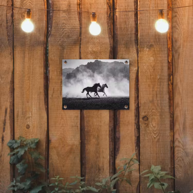 Paard - Ren - Stof - Zwart-wit - Dieren tuinposter los doek klein -sfeer1