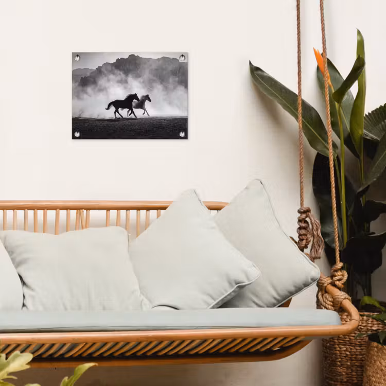 Paard - Ren - Stof - Zwart-wit - Dieren tuinposter los doek klein -sfeer7